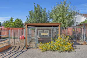 Chicken Coop