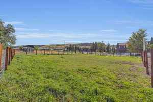 Green pasture