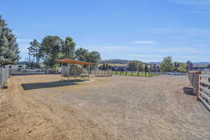 10 Horse Free Feeder with roof