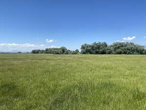 View of local wilderness featuring rural landscape