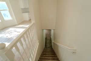 View of stairs