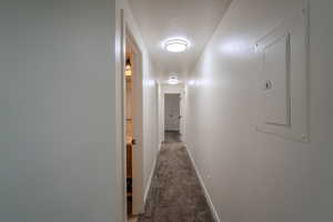 Corridor featuring a textured ceiling, carpet, electric panel, and baseboards