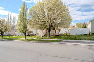 Obstructed view of property featuring fence, a front yard, and a residential view