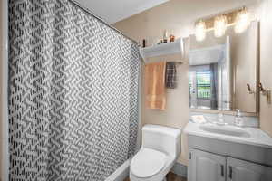 Full bathroom with toilet, vanity, and a shower with shower curtain