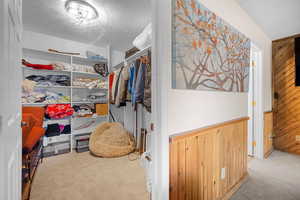 Walk in closet featuring carpet flooring
