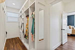 Spacious closet featuring dark wood-type flooring