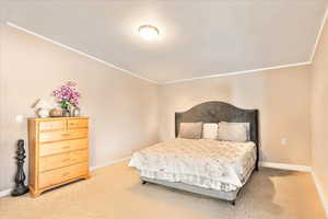 Bedroom featuring light colored carpet, baseboards, and crown molding