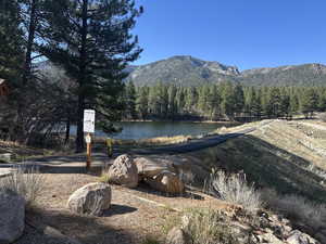 Property view of water with a mountain view and a wooded view
