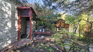 Chicken Coop