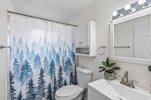 Full bathroom with toilet, vanity, and a shower with curtain