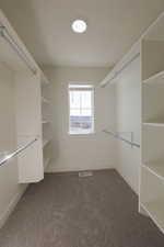 Walk in closet with visible vents and carpet