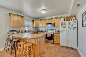 Kitchen with stainless steel appliances, visible vents, light brown cabinets, a sink, and a peninsula