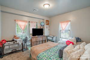 Carpeted bedroom featuring visible vents and multiple windows
