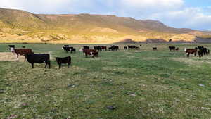 View of mountain background featuring a pastoral area and rural landscape