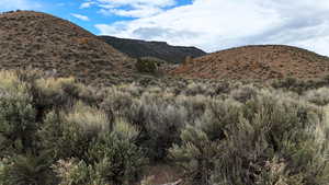 View of mountain background
