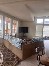 Living room featuring carpet flooring