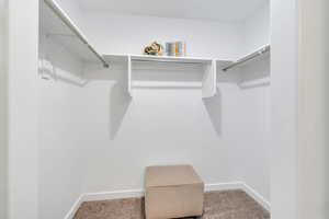 Huge walk in closet