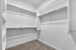 Spacious closet with carpet flooring