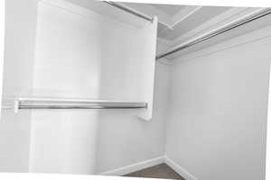 Spacious closet with carpet floors