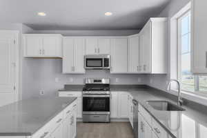 Kitchen featuring recessed lighting, a healthy amount of sunlight, appliances with stainless steel finishes, and a sink