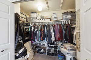 Walk in closet with carpet flooring and attic access