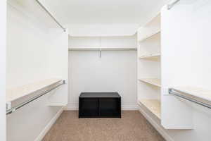 Primary bedroom with walk in closet