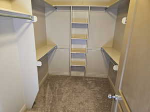 Spacious closet with carpet flooring