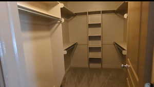 Walk in closet with carpet