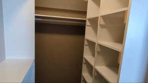 View of walk in closet