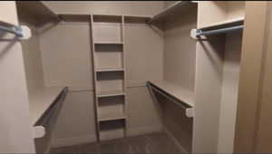 View of walk in closet