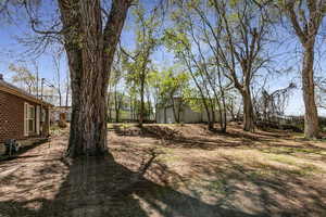 View of yard featuring a shed and fence