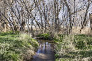 Photo 49 of 3893 E CENTER CREEK RD