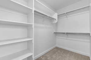 Walk in closet with carpet flooring