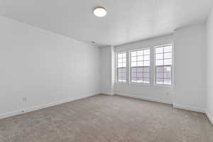 Empty room with baseboards, visible vents, a textured ceiling, and carpet flooring
