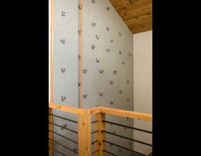 Custom Climbing wall
