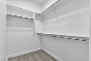 Spacious closet featuring carpet floors