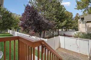 View backyard