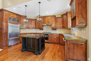 Kitchen with dark stone countertops, a sink, light wood-type flooring, appliances with stainless steel finishes, and under cabinet range hood