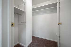 Spacious closet with carpet flooring