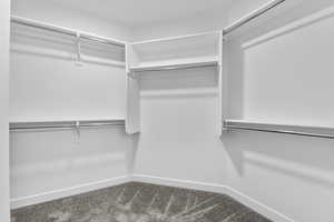 Spacious closet featuring carpet floors