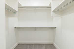 Spacious closet with carpet flooring