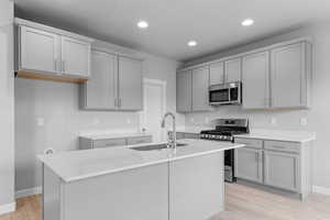 Kitchen featuring stainless steel appliances, baseboards, a sink, and gray cabinets