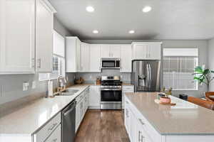 Kitchen featuring appliances with stainless steel finishes, a sink, a kitchen island, and recessed lighting
