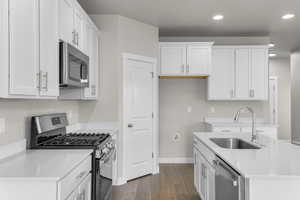 Kitchen featuring appliances with stainless steel finishes, dark wood-style floors, white cabinetry, and a sink