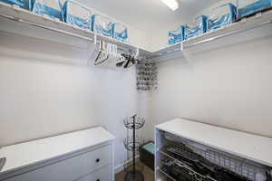 View of walk in closet