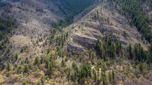 Property view of mountains with a forest view