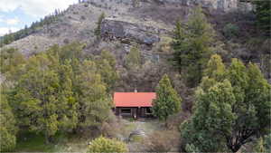 Drone / aerial view featuring a view of trees and a mountain view
