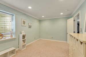 Interior space with a wealth of natural light, ornamental molding, and light carpet