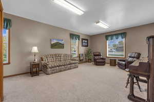 Living room with a wealth of natural light, carpet flooring, and baseboards