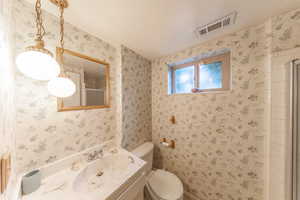basement Bathroom featuring Sink, toilet and shower.